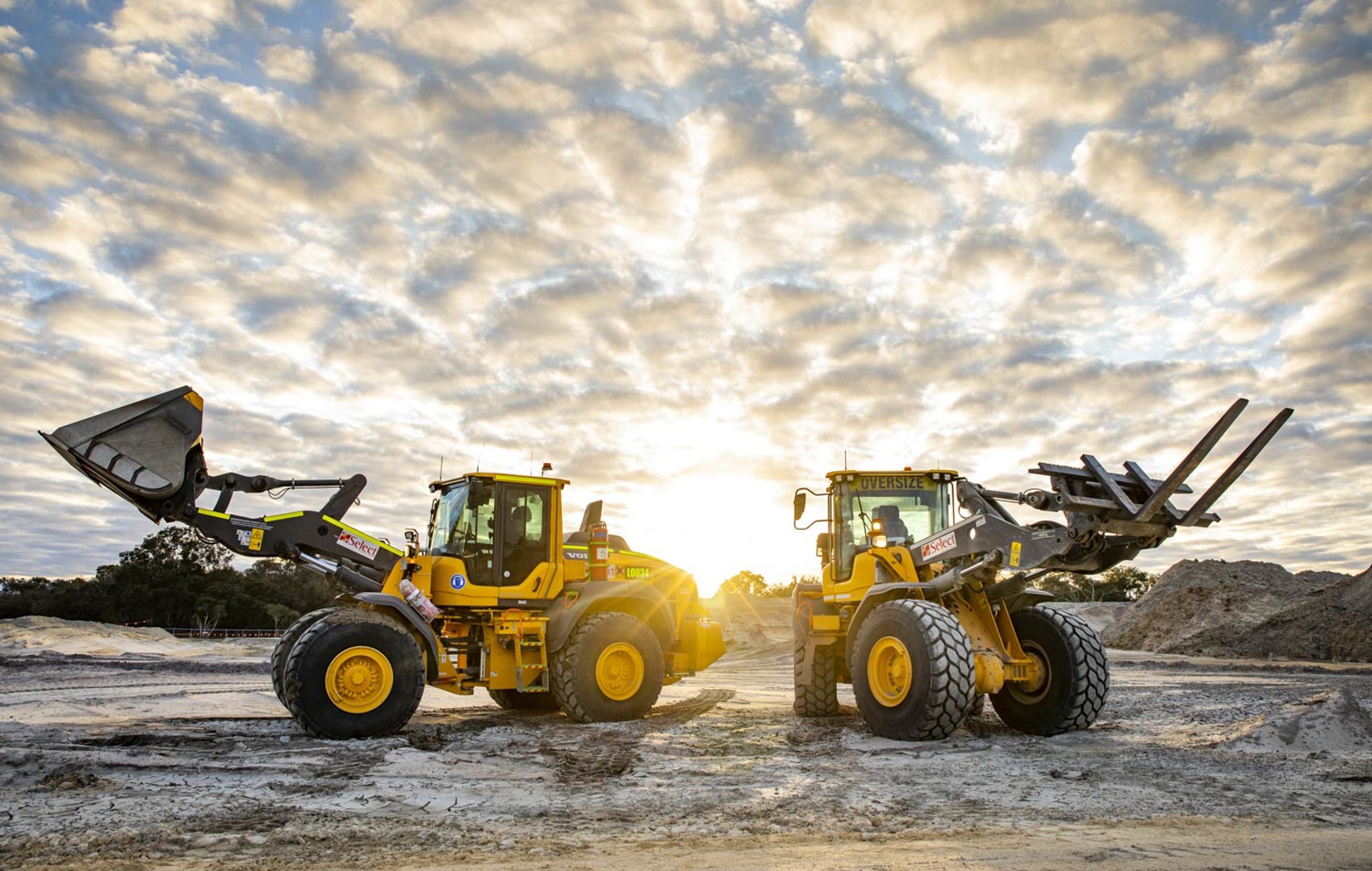 Homepage banner image.